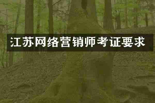 江苏网络营销师考证要求
