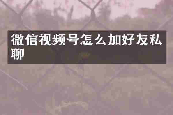 微信视频号怎么加好友私聊