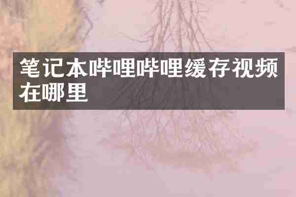 笔记本哔哩哔哩缓存视频在哪里