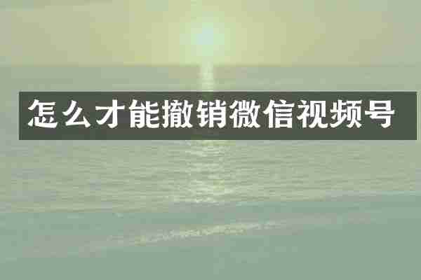 怎么才能撤销微信视频号