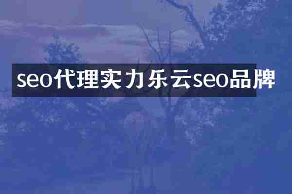 seo代理实力乐云seo品牌