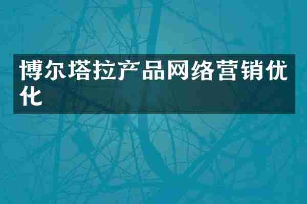 博尔塔拉产品网络营销优化