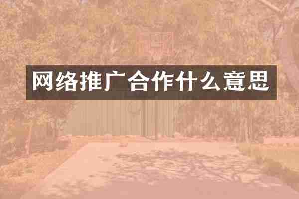 网络推广合作什么意思