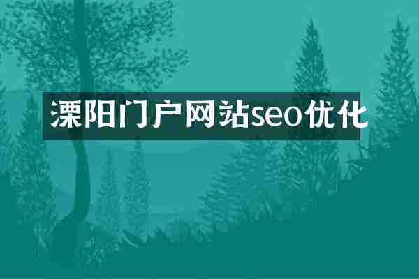 溧阳门户网站seo优化