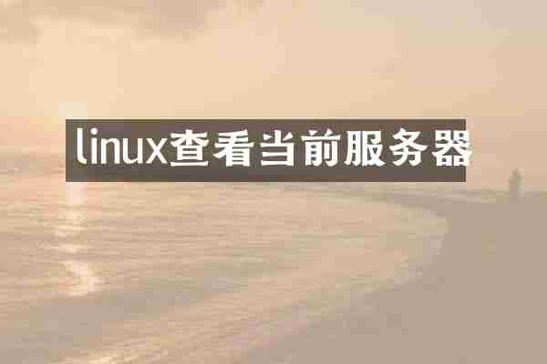 linux查看当前服务器