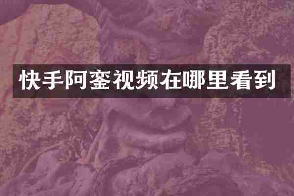 快手阿銮视频在哪里看到