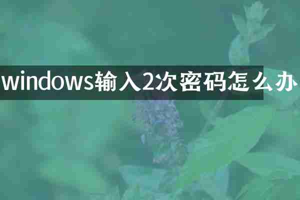 windows输入2次密码怎么办