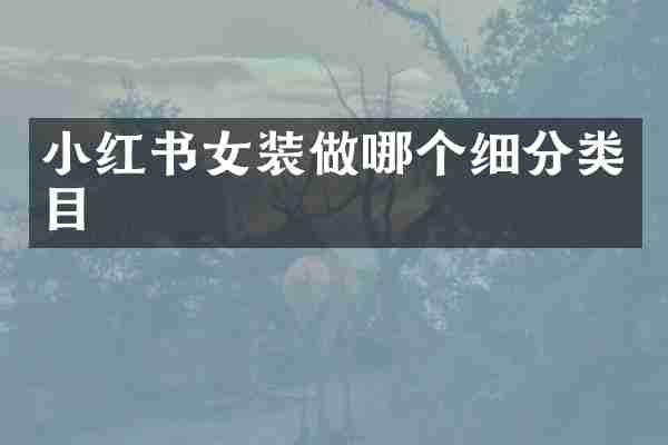 小红书女装做哪个细分类目