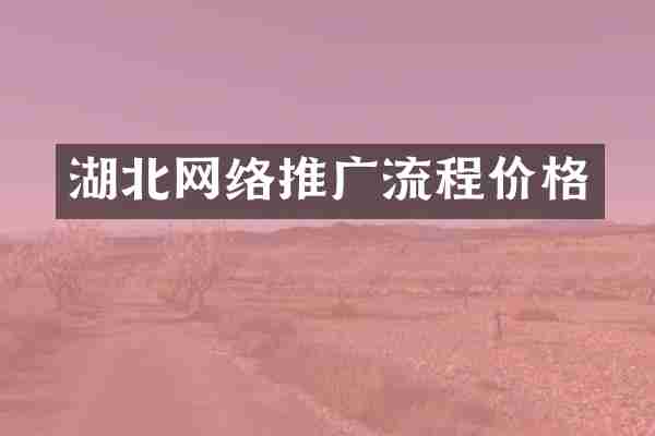 湖北网络推广流程价格