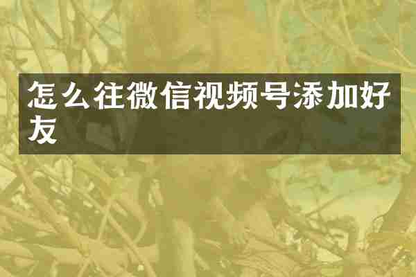 怎么往微信视频号添加好友