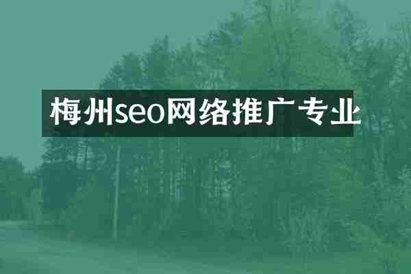 梅州seo网络推广专业