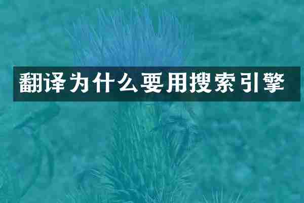 翻译为什么要用搜索引擎