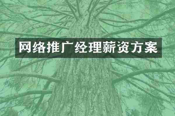 网络推广经理薪资方案