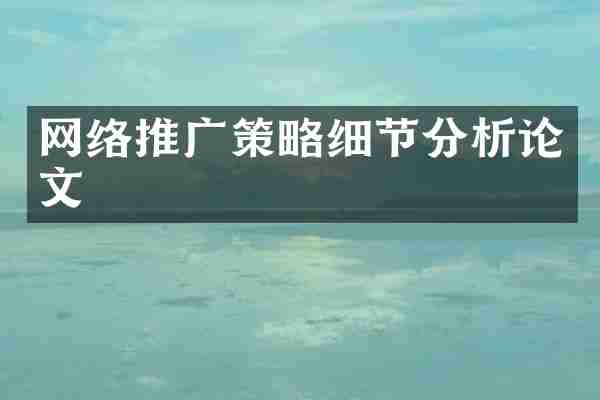网络推广策略细节分析论文