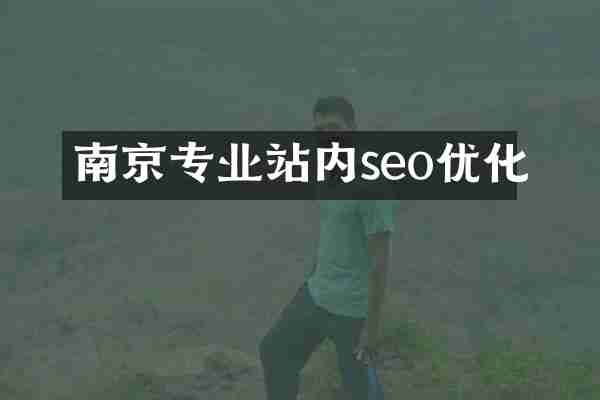 南京专业站内seo优化