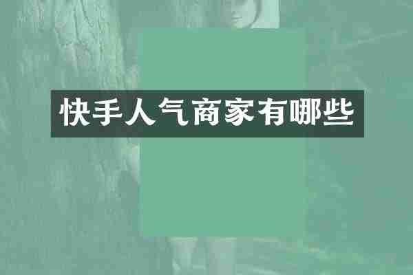 快手人气商家有哪些