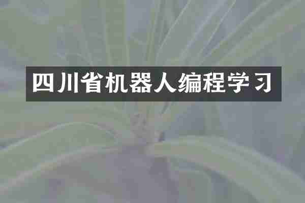 四川省机器人编程学习