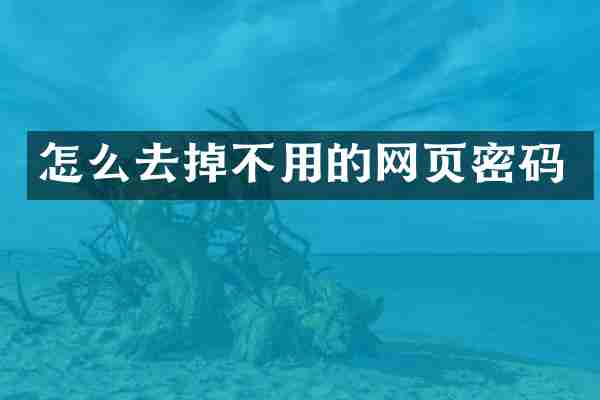 怎么去掉不用的网页密码