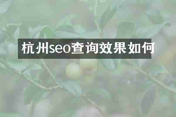杭州seo查询效果如何