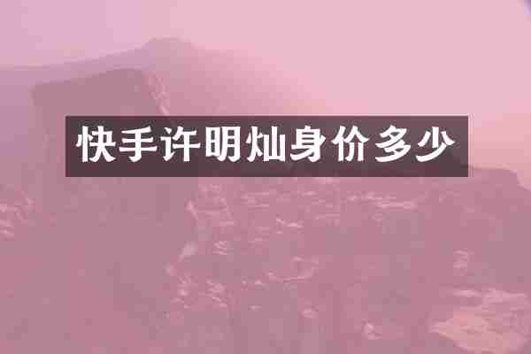 快手许明灿身价多少