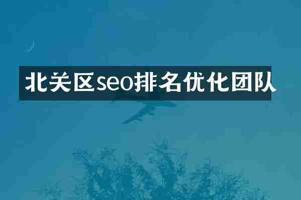 北关区seo排名优化团队