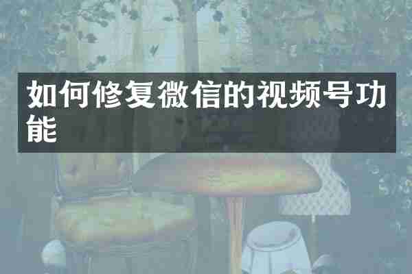 如何修复微信的视频号功能