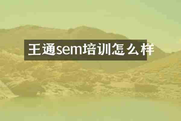 王通sem培训怎么样