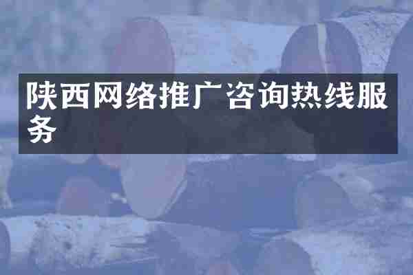 陕西网络推广咨询热线服务