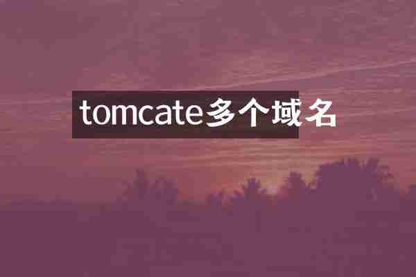 tomcate多个域名