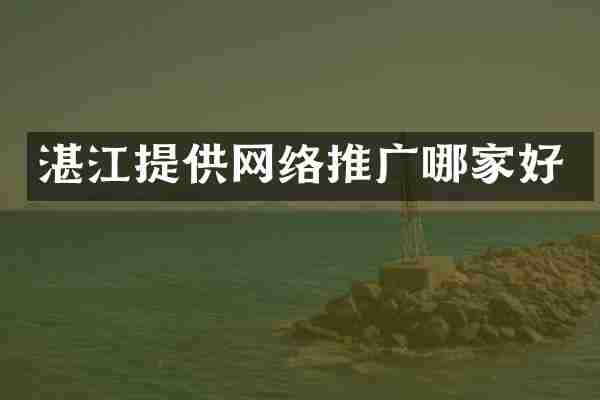 湛江提供网络推广哪家好