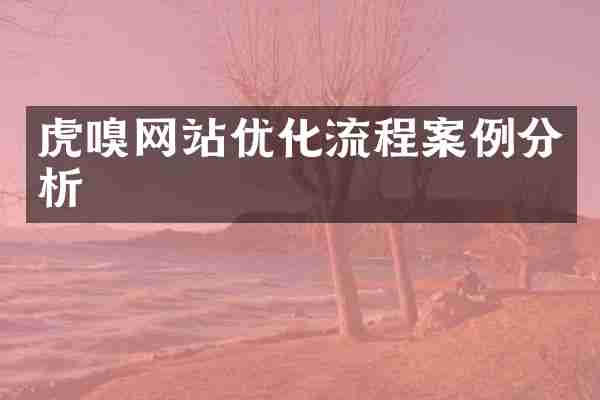 虎嗅网站优化流程案例分析