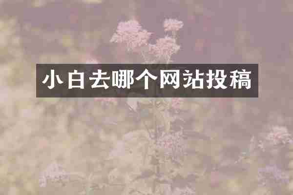 小白去哪个网站投稿