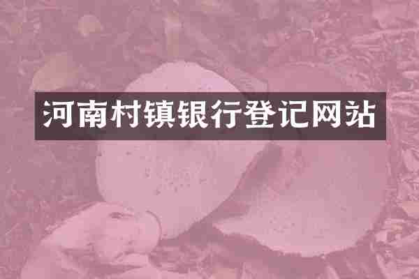 河南村镇银行登记网站