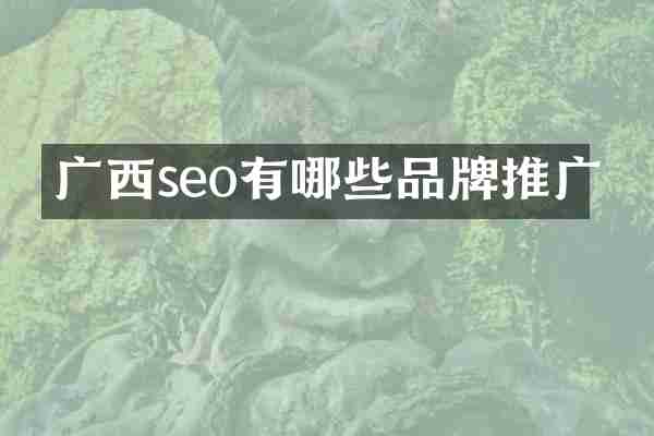 广西seo有哪些品牌推广