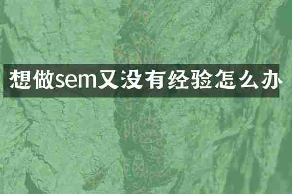 想做sem又没有经验怎么办