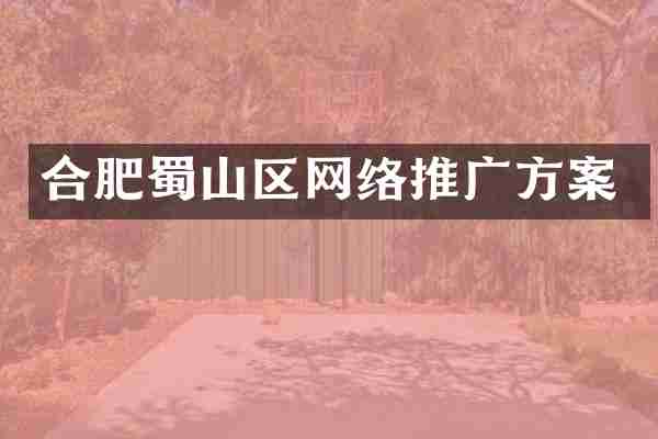 合肥蜀山区网络推广方案