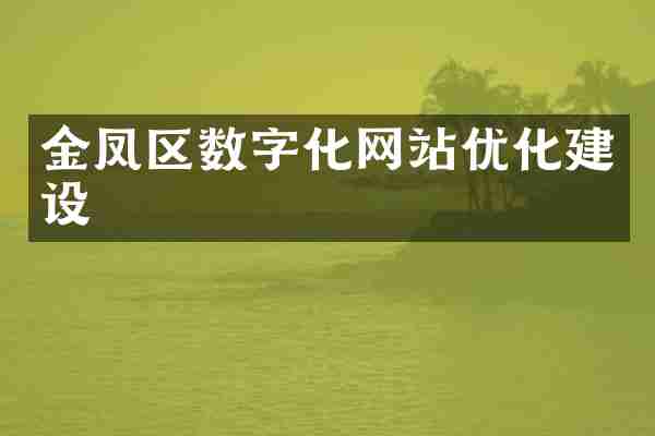 金凤区数字化网站优化建设