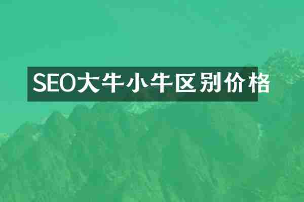 SEO大牛小牛区别价格