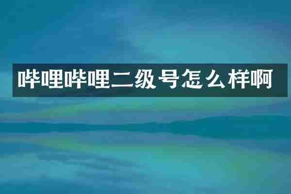 哔哩哔哩二级号怎么样啊