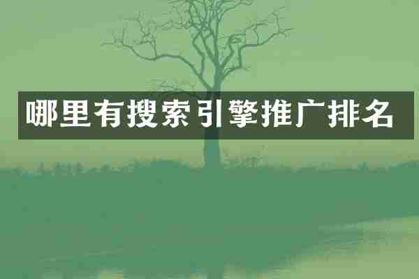 哪里有搜索引擎推广排名