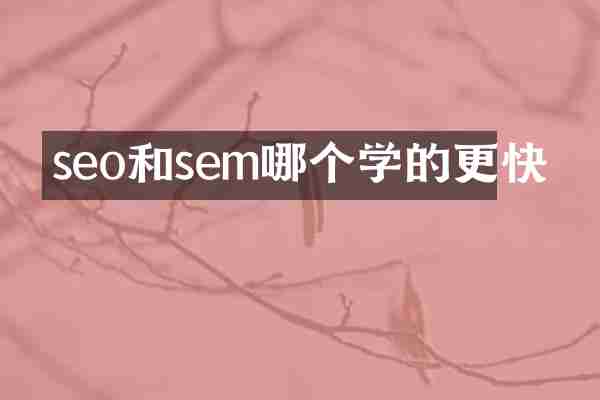seo和sem哪个学的更快