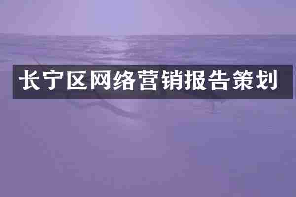 长宁区网络营销报告策划