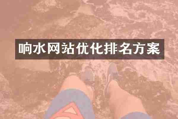 响水网站优化排名方案