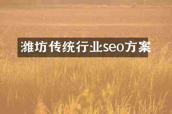 潍坊传统行业seo方案