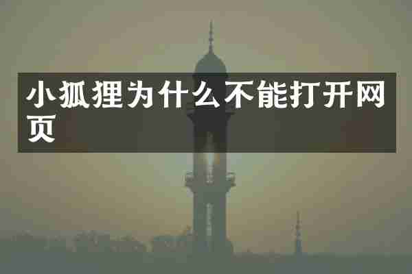 小狐狸为什么不能打开网页