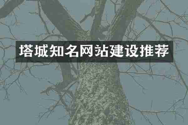 塔城知名网站建设推荐