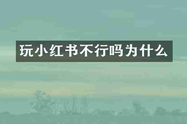 玩小红书不行吗为什么