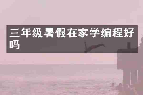 三年级暑假在家学编程好吗