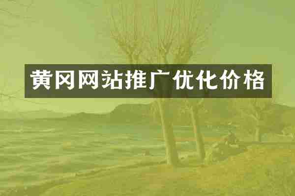 黄冈网站推广优化价格