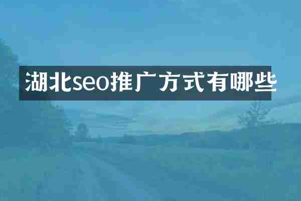 湖北seo推广方式有哪些